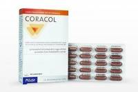 Coracol - Pileje